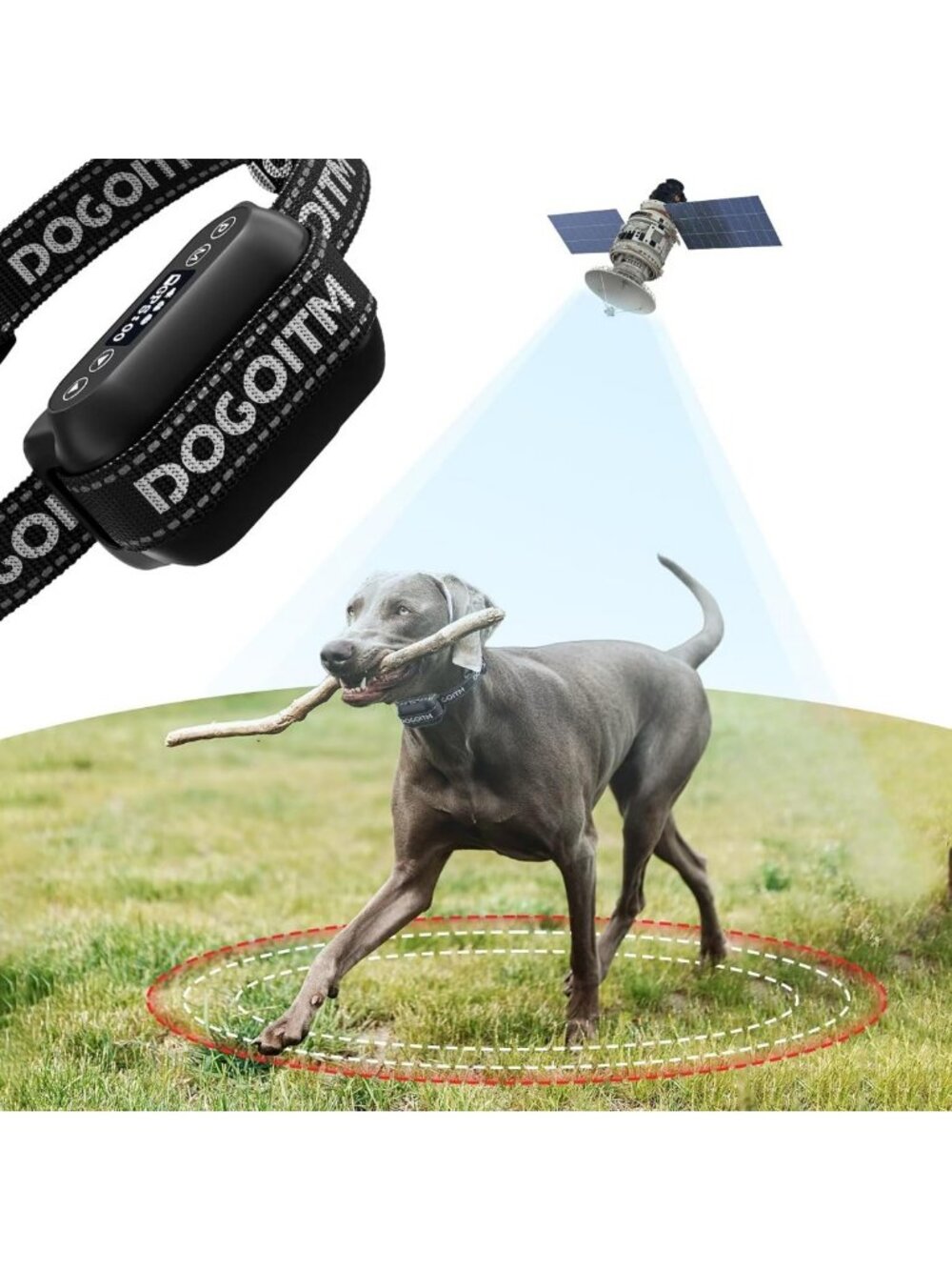 GPS Wireless Dog Fence System with 3 Correction Modes & Smart Signal, 65-3281ft